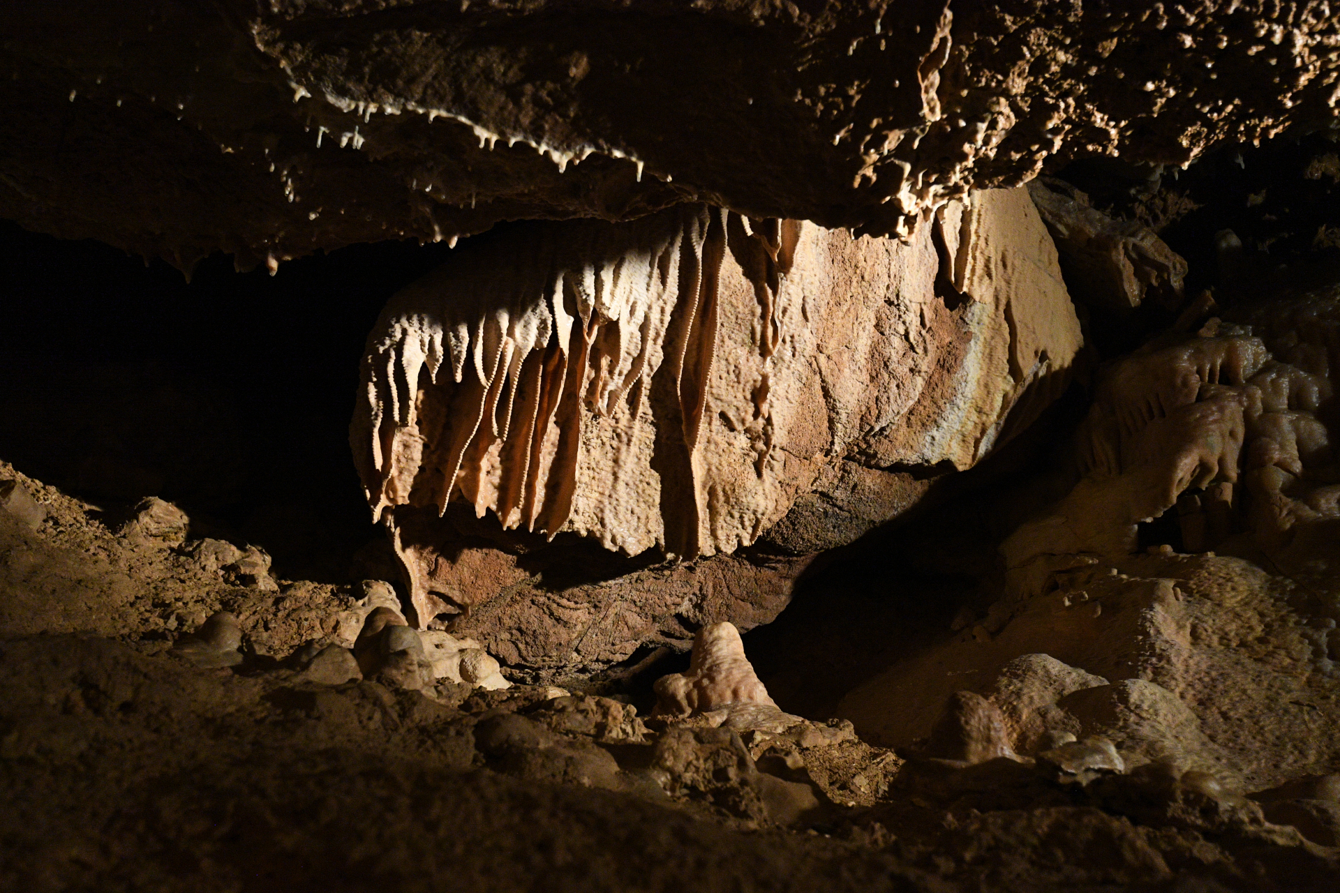 Krápníky v Koněpruských jeskyních