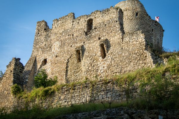 Michalovice Castle Ruins