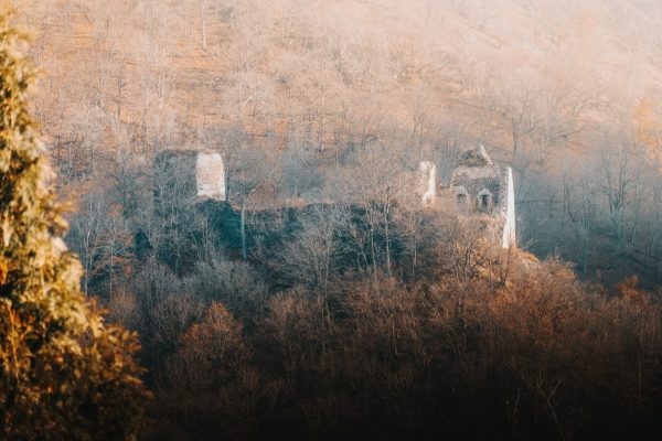 Týřov Castle Ruins